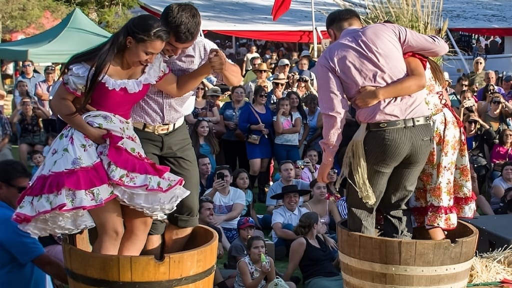 Barrels of freshly picked grapes crushed by feet at a a local competition