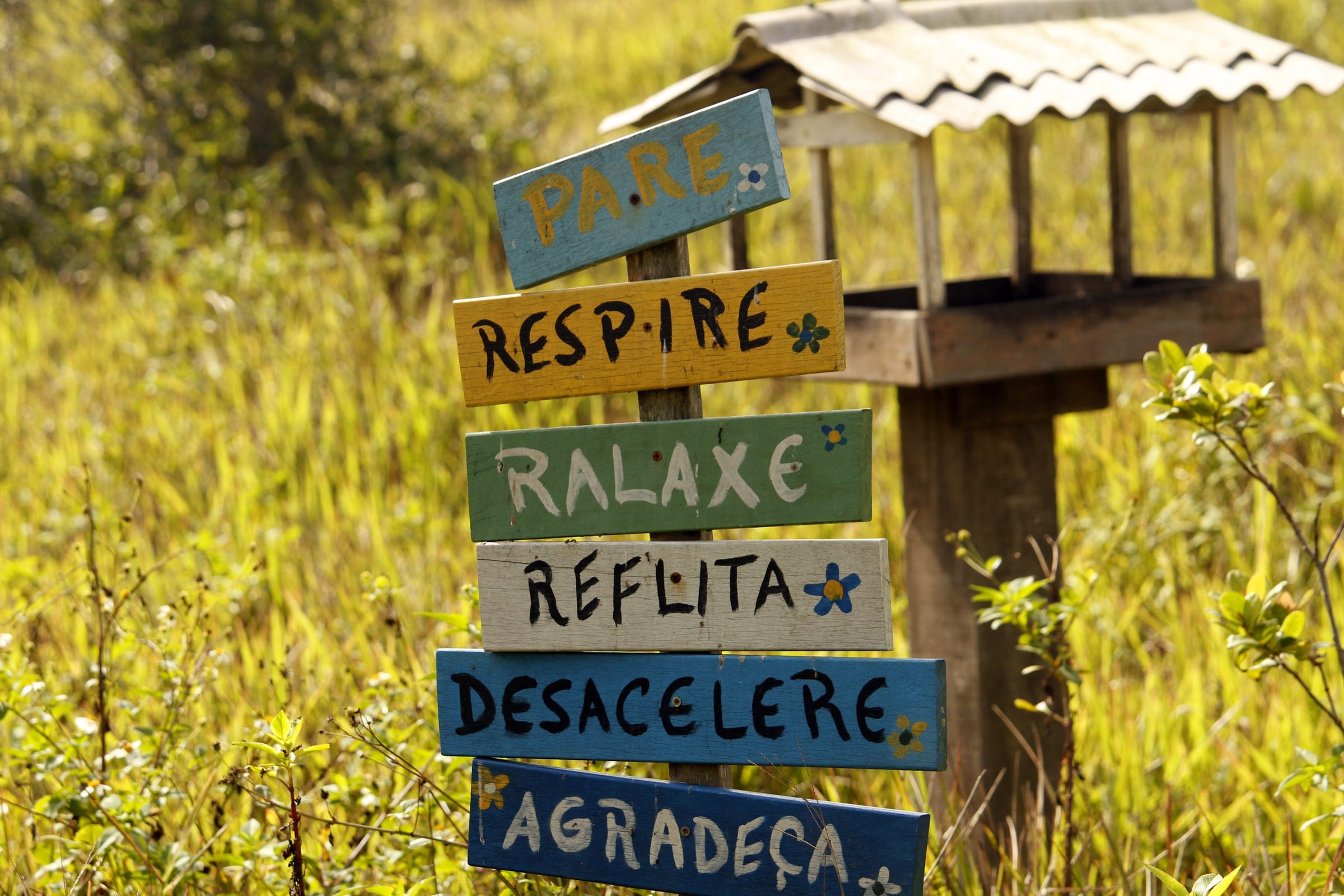 A vibrant wooden sign with inspirational messages in a lush Guaratuba field