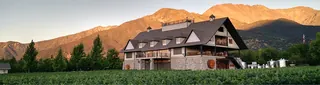 Alyan Family Wines image 1