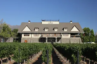 Alyan Family Wines image 3