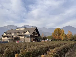 Alyan Family Wines image 4