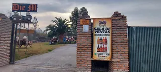 Cervecería Die M image 1