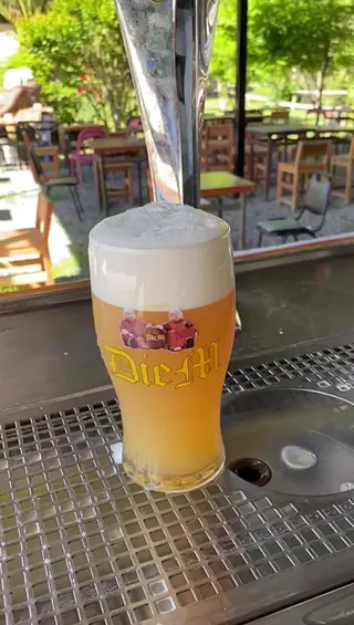 Cervecería Die M image 2