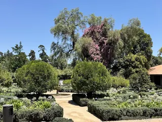 Doña Paula Restaurant image 5