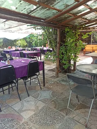 Donde Bruno image 1