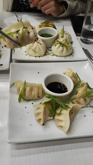 Dumpling Factory image 2