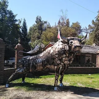 El Manso Toro image 4