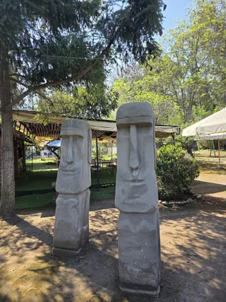 El Manso Toro image 5
