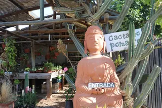 La Greda image 3