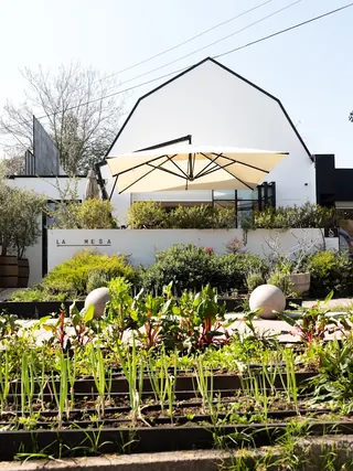 La Mesa image 5