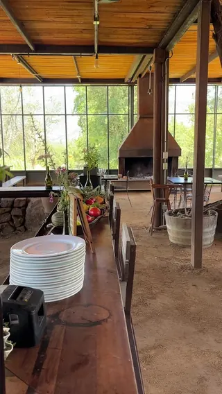 Las Araucarias Vineyard image 2