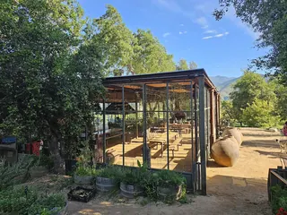 Las Araucarias Vineyard image 5