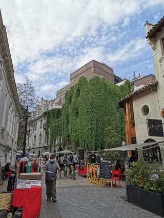 Lastarria image 4