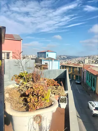 Maleza Valparaíso image 4