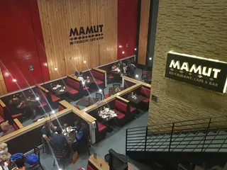 Mamut image 1