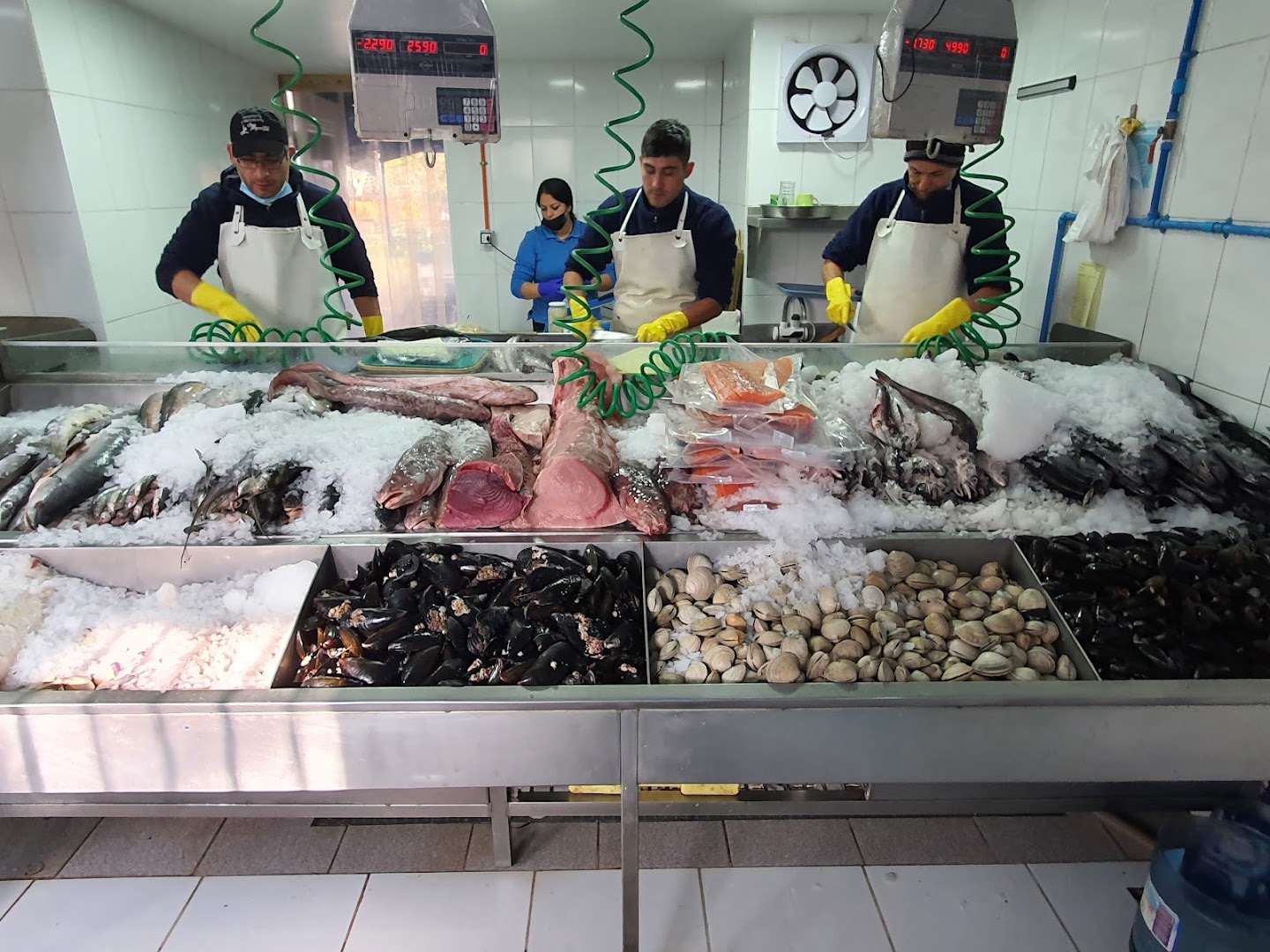 Pescaderia y Restaurante la Morenita