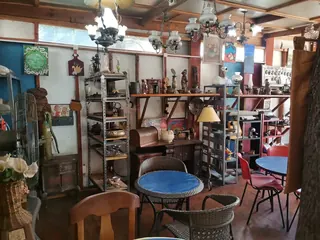 Senor Ferrer image 5
