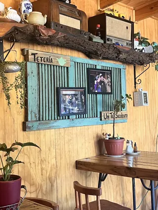 Un té Suculento image 3