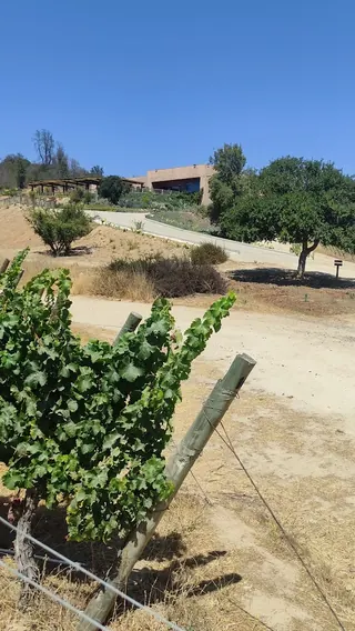 Villard Fine Wines image 2