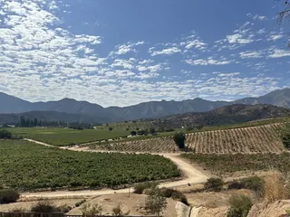 Villard Fine Wines image 5