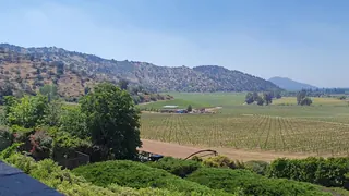 Viña Haras de Pirque image 2