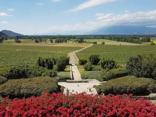 Viña Haras de Pirque image 4