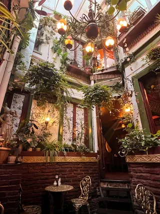 Wonderland Café image 5