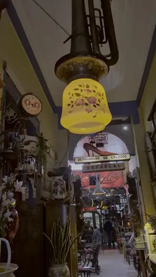 Zarita image 2