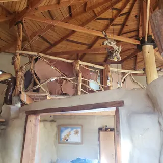 Alamo Huacho image 2