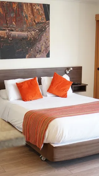 Apart Hotel Viva Providencia image 5