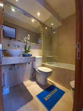 Apartamentos Lujosuites image 4