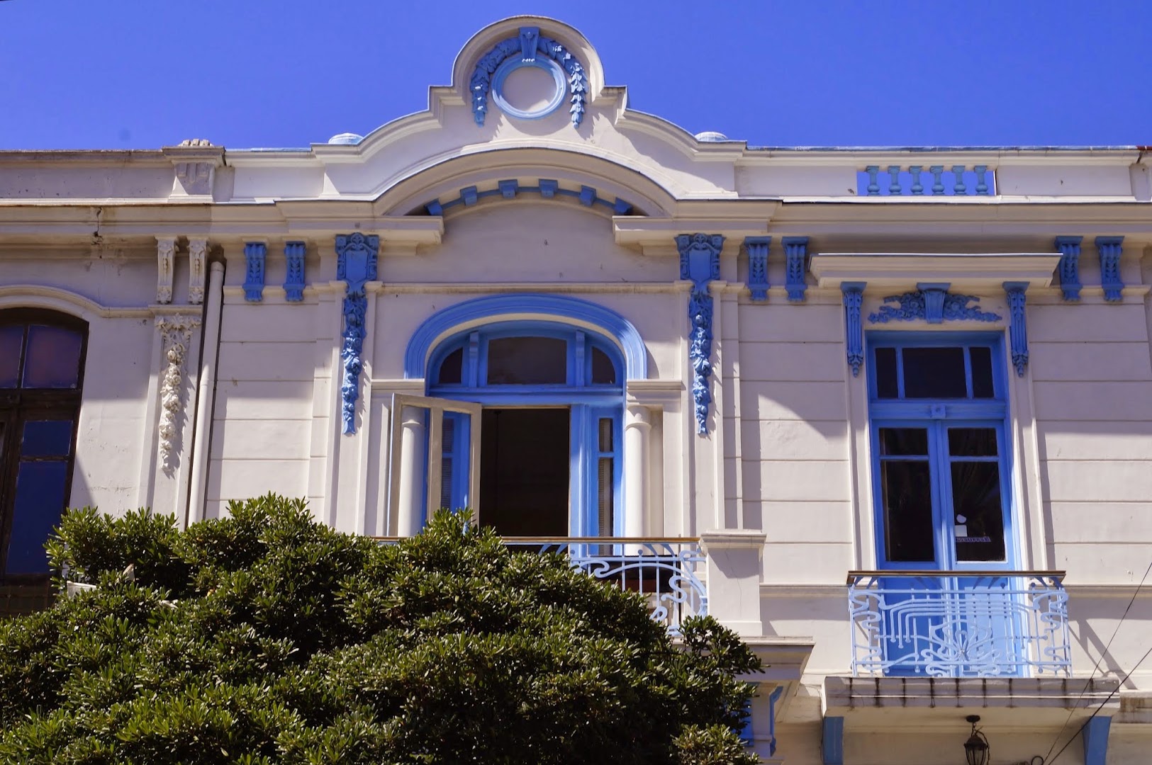 Blanca Rosa Valparaíso