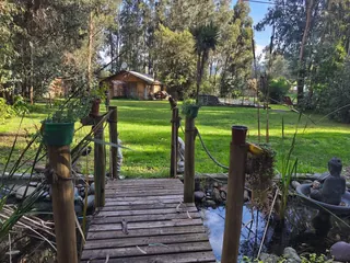 Bosques del Paico image 3