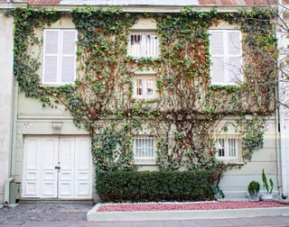 Casa Ribera Hotel image 1