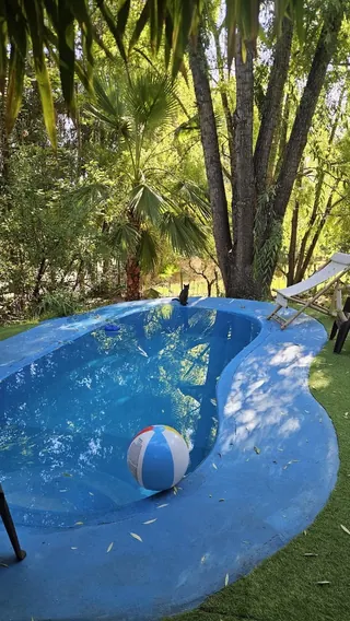 El Campito image 4
