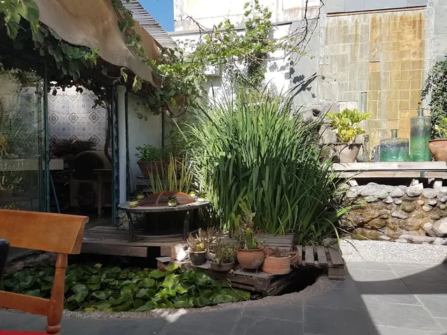 El Gallo Con Tacones, Barrio Italia, Santiago
