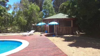 Hacienda el Pangal image 5