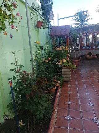 Hospedaje Miramar image 3