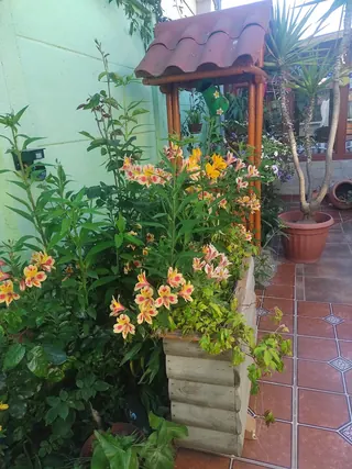Hospedaje Miramar image 4