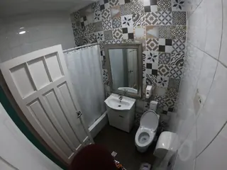 Hostel Forestal image 5