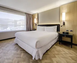 Hotel Plaza el Bosque Ebro image 3