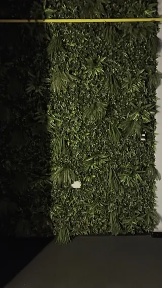 Hotel Tinka image 2
