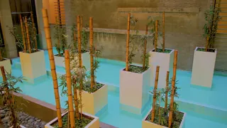 Norus Apartment image 2