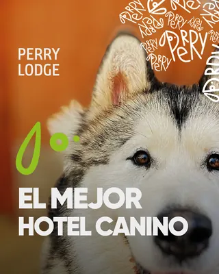 Perry Lodge image 5