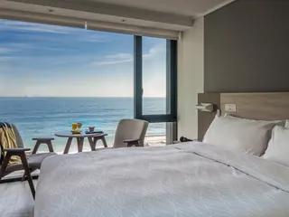 Pullman Vina del Mar San Martín image 3