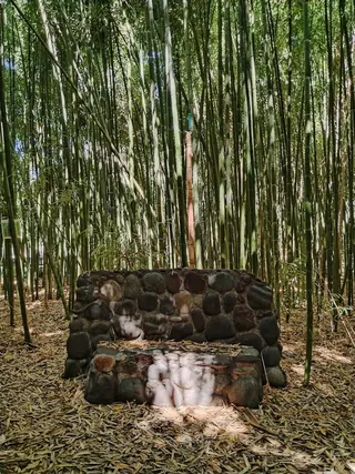 Remanso del espiritu image 1