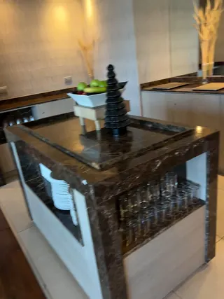 Renaissance Santiago Hotel image 2