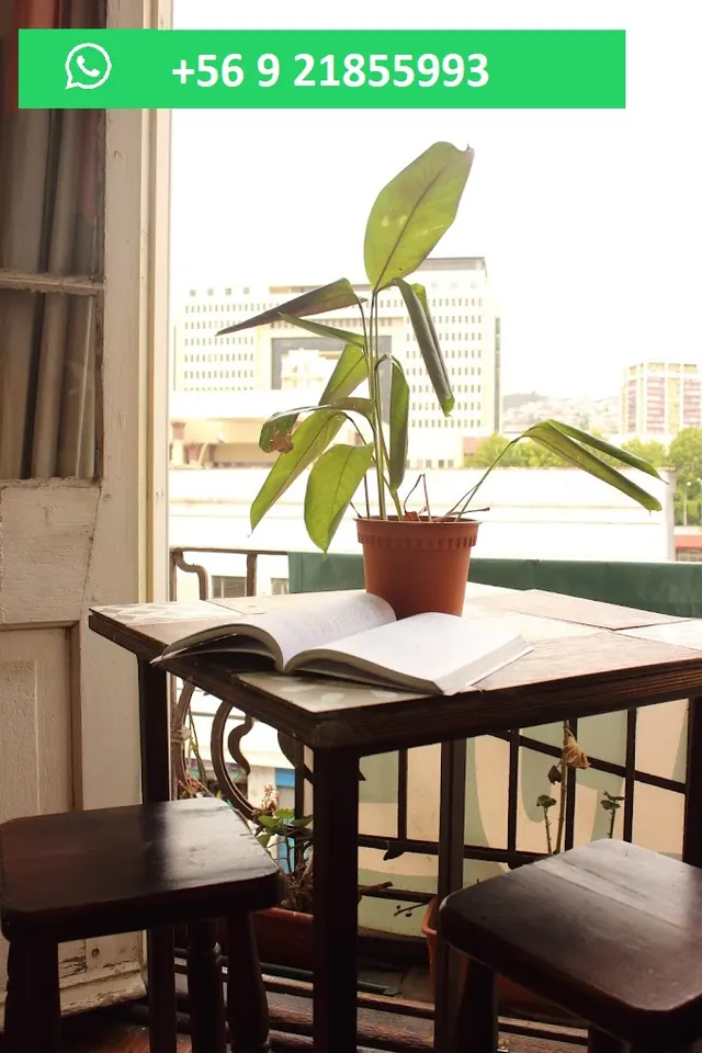 Toesca B&B, Valparaíso, Santiago