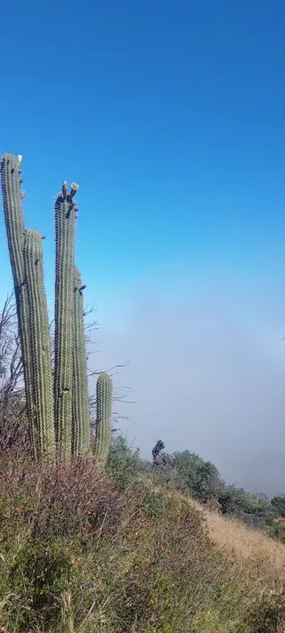 Alto Las Vizcachas Mountain image 2