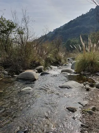 Arboretum image 3